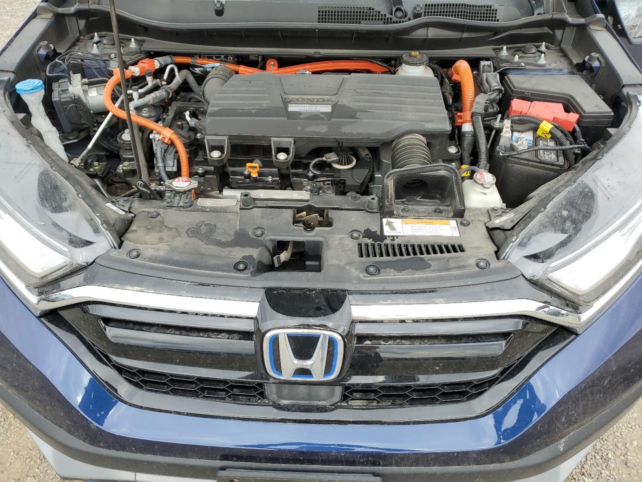 2020 Honda Cr-V Exl VIN: 7FART6H87LE016962 Lot: 70108145