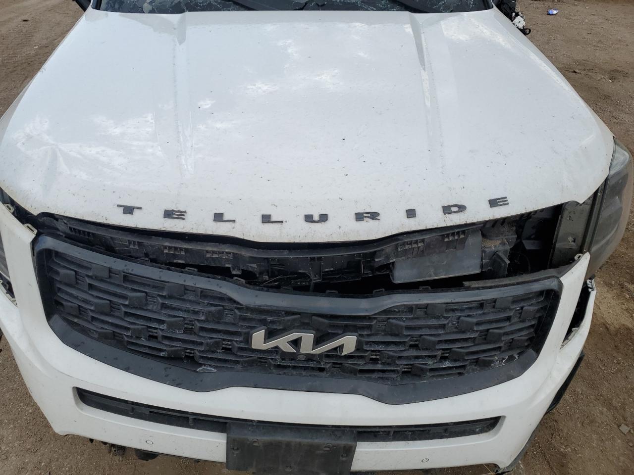 2022 Kia Telluride Sx VIN: 5XYP5DHC6NG234084 Lot: 69314615