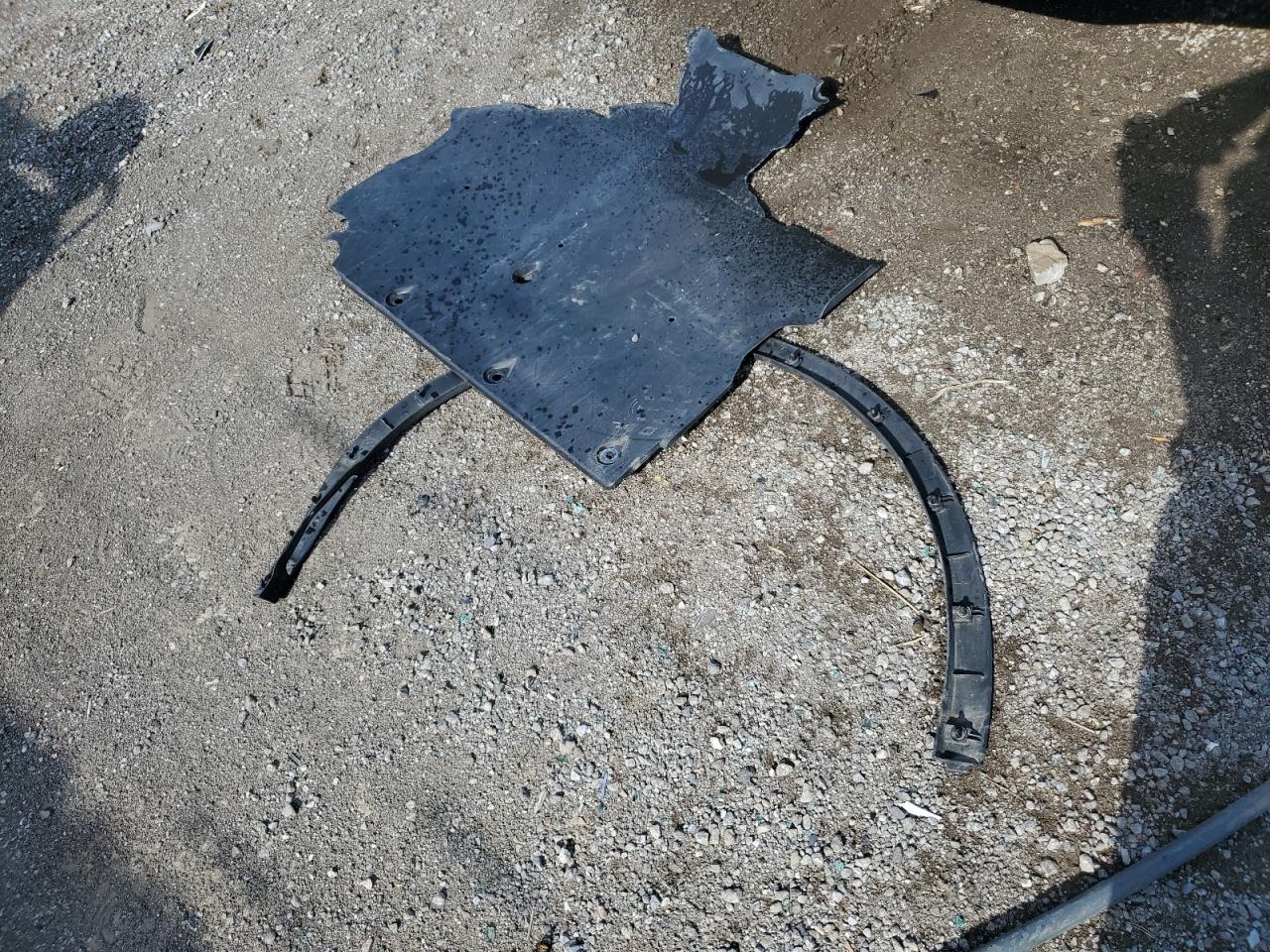 2023 Tesla Model Y VIN: 7SAYGDEE1PF775822 Lot: 70385685