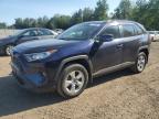 2020 TOYOTA RAV4 XLE   à vendre chez Copart ON - COOKSTOWN