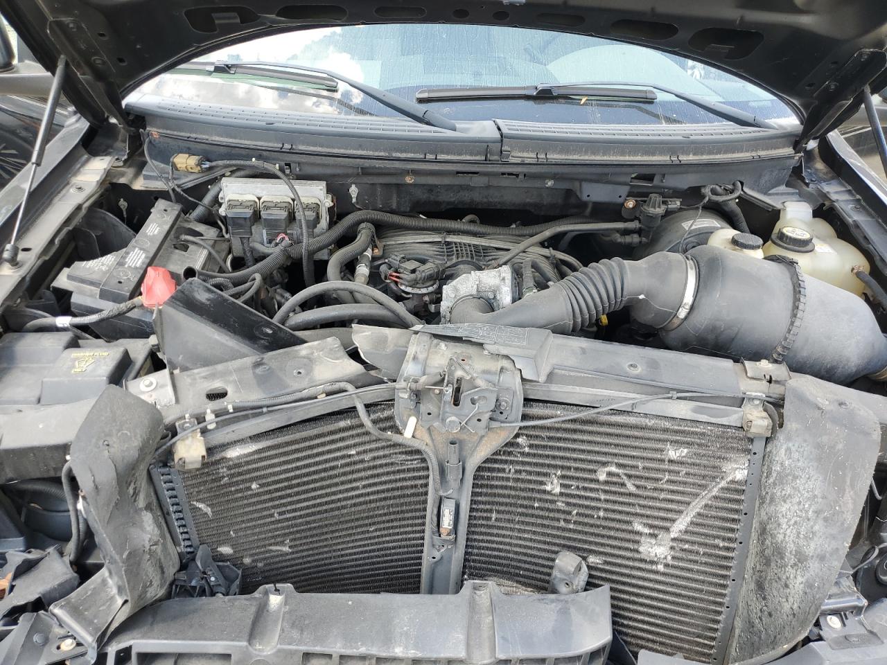 2008 Ford F150 VIN: 1FTRF12298KF03648 Lot: 66498225