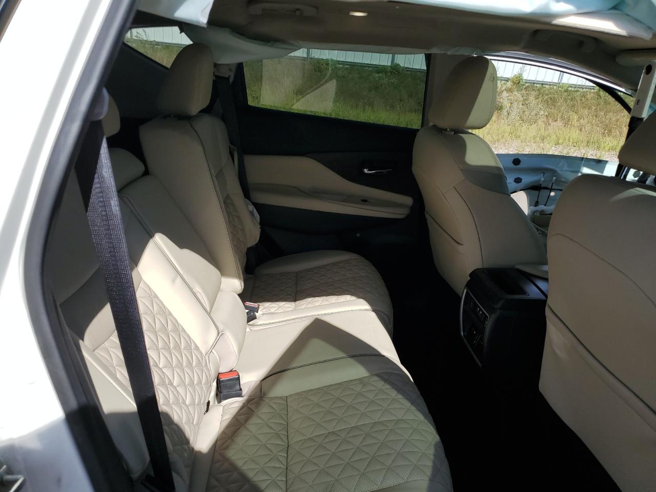 2020 Nissan Murano Platinum VIN: 5N1AZ2DS8LN155819 Lot: 70121555