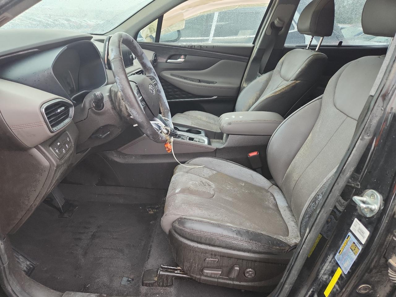 2020 Hyundai Santa Fe Limited VIN: 5NMS53AA0LH208113 Lot: 69074965