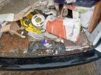 2024 VAUXHALL VIVARO PRO for sale at Copart PETERLEE
