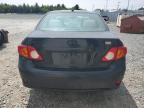 2009 TOYOTA COROLLA BASE   for sale at Copart NS - HALIFAX