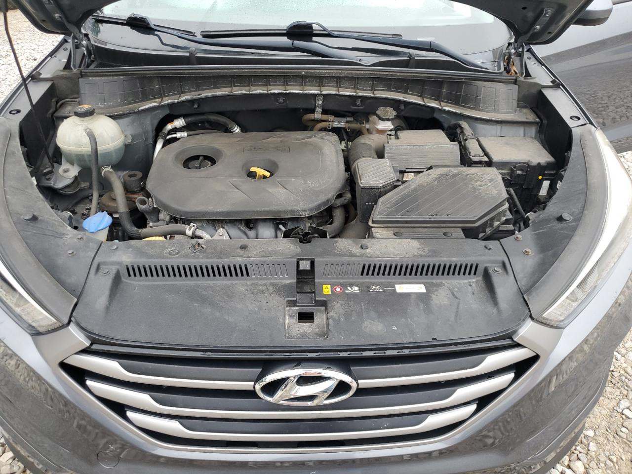 2017 Hyundai Tucson Limited VIN: KM8J3CA48HU501295 Lot: 69671785