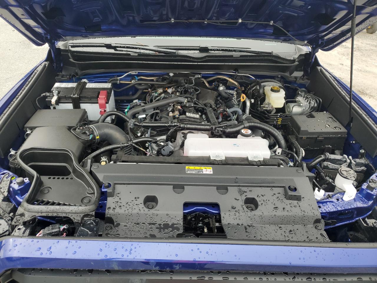 2025 Toyota Tacoma Double Cab VIN: 3TMKB5FNXSM041769 Lot: 67608725