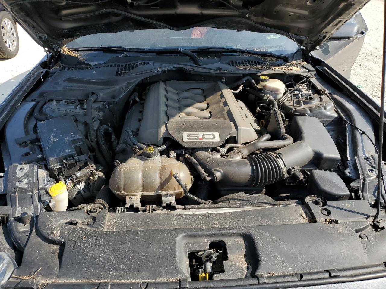 2017 Ford Mustang Gt VIN: 1FA6P8CF5H5234661 Lot: 70809005