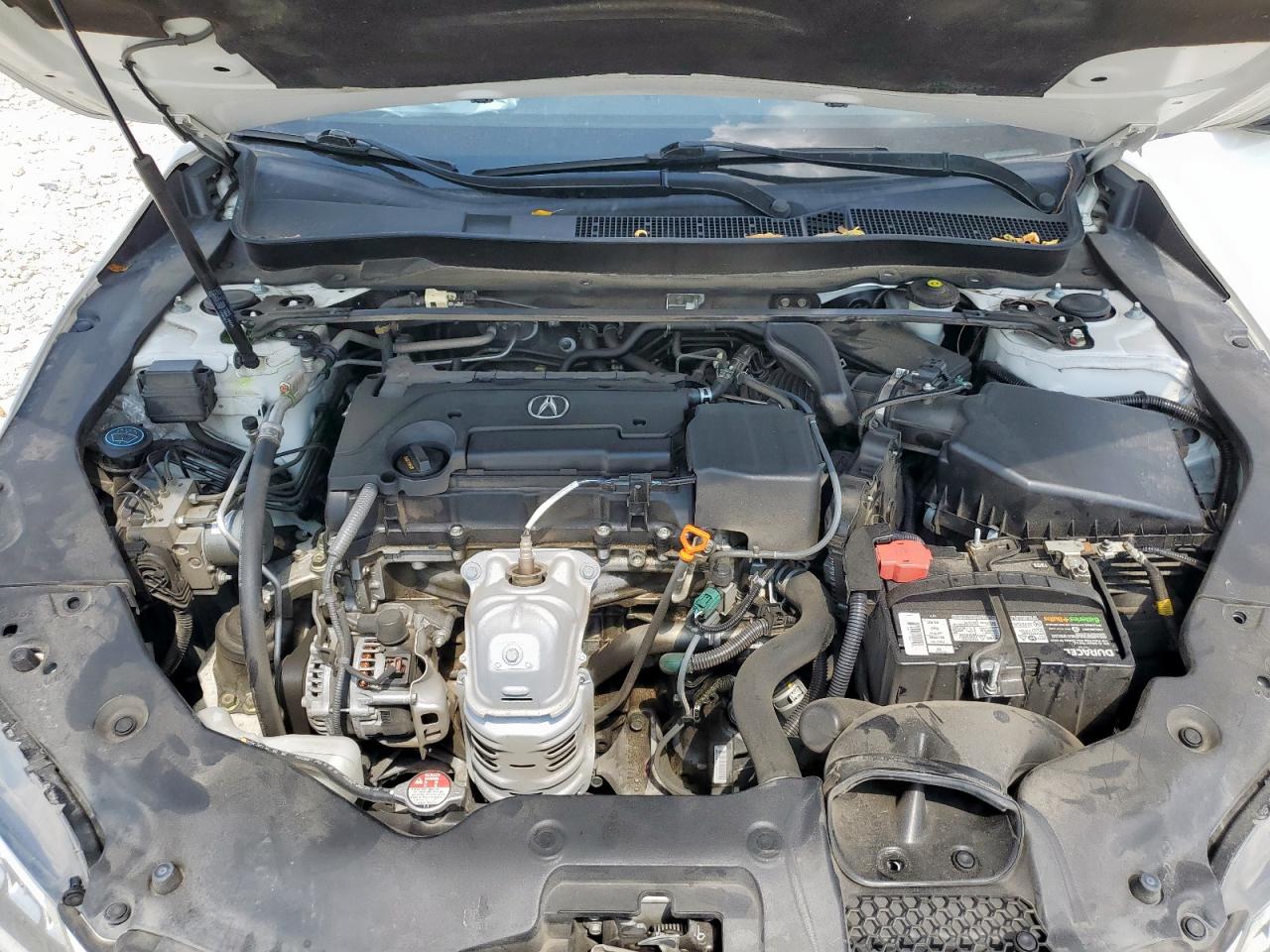 2015 Acura Tlx Tech VIN: 19UUB1F56FA005079 Lot: 68207185