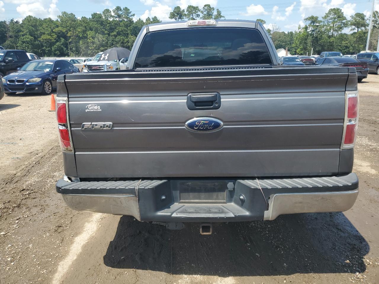 2010 Ford F150 Supercrew VIN: 1FTEW1C81AFD84249 Lot: 66936235