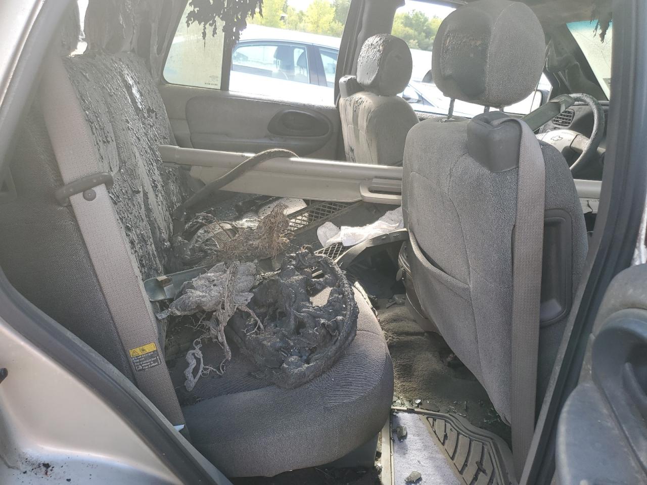 2004 Chevrolet Trailblazer Ls VIN: 1GNDT13S942214191 Lot: 69380105