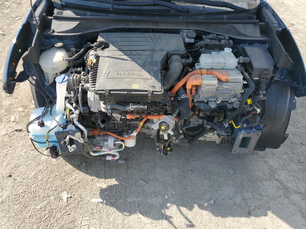 2019 Kia Niro Fe VIN: KNDCB3LC3K5350596 Lot: 67771655