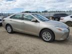 2016 TOYOTA CAMRY LE   à vendre chez Copart AB - EDMONTON