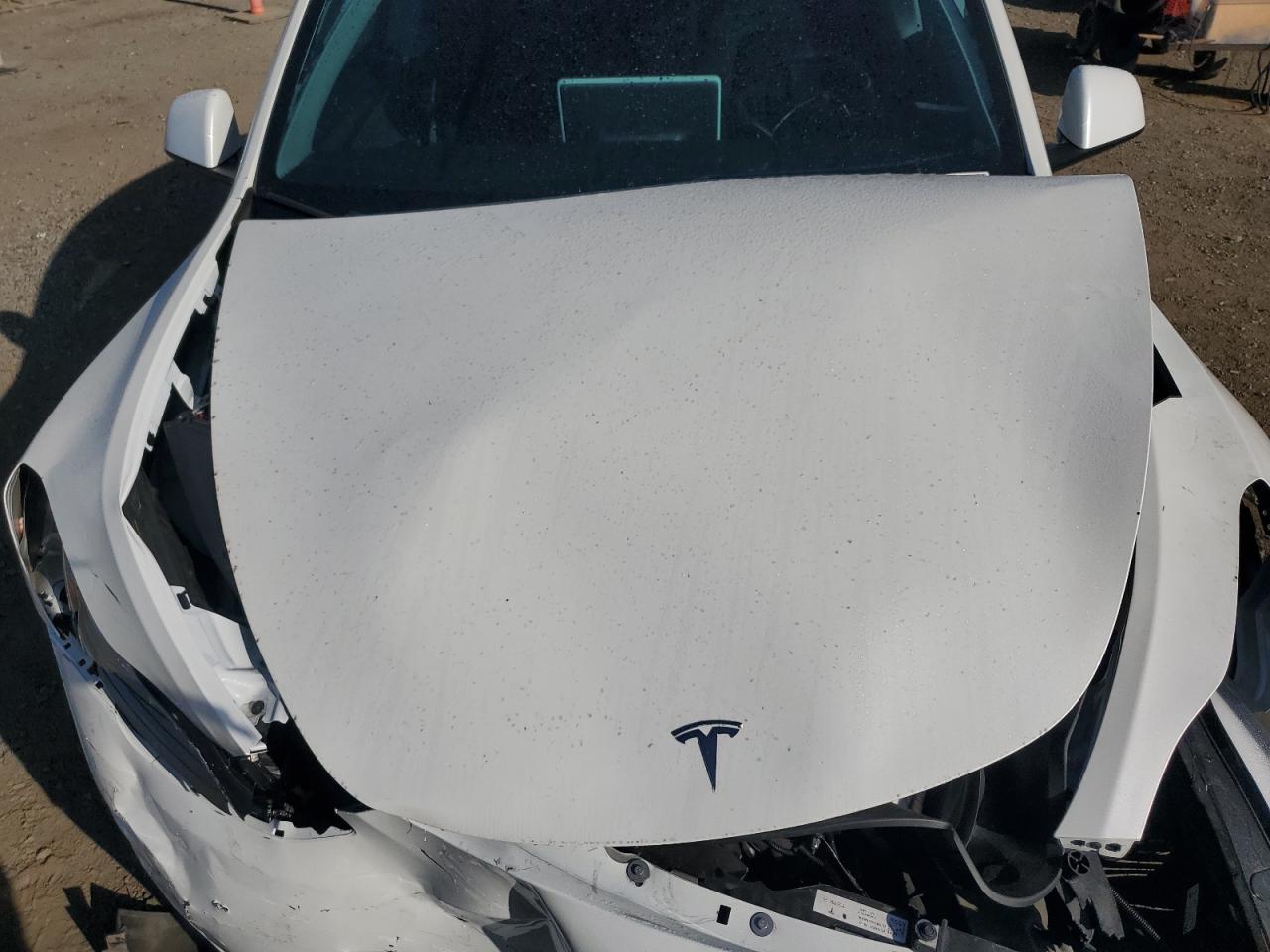 2024 Tesla Model Y VIN: 7SAYGDED5RF123120 Lot: 69522835