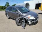 2009 HONDA CR-V EXL   for sale at Copart QC - MONTREAL