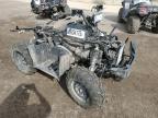 2025 KAWASAKI KVF450 BRUTE FORCE 4X4 for sale at Copart AB - CALGARY
