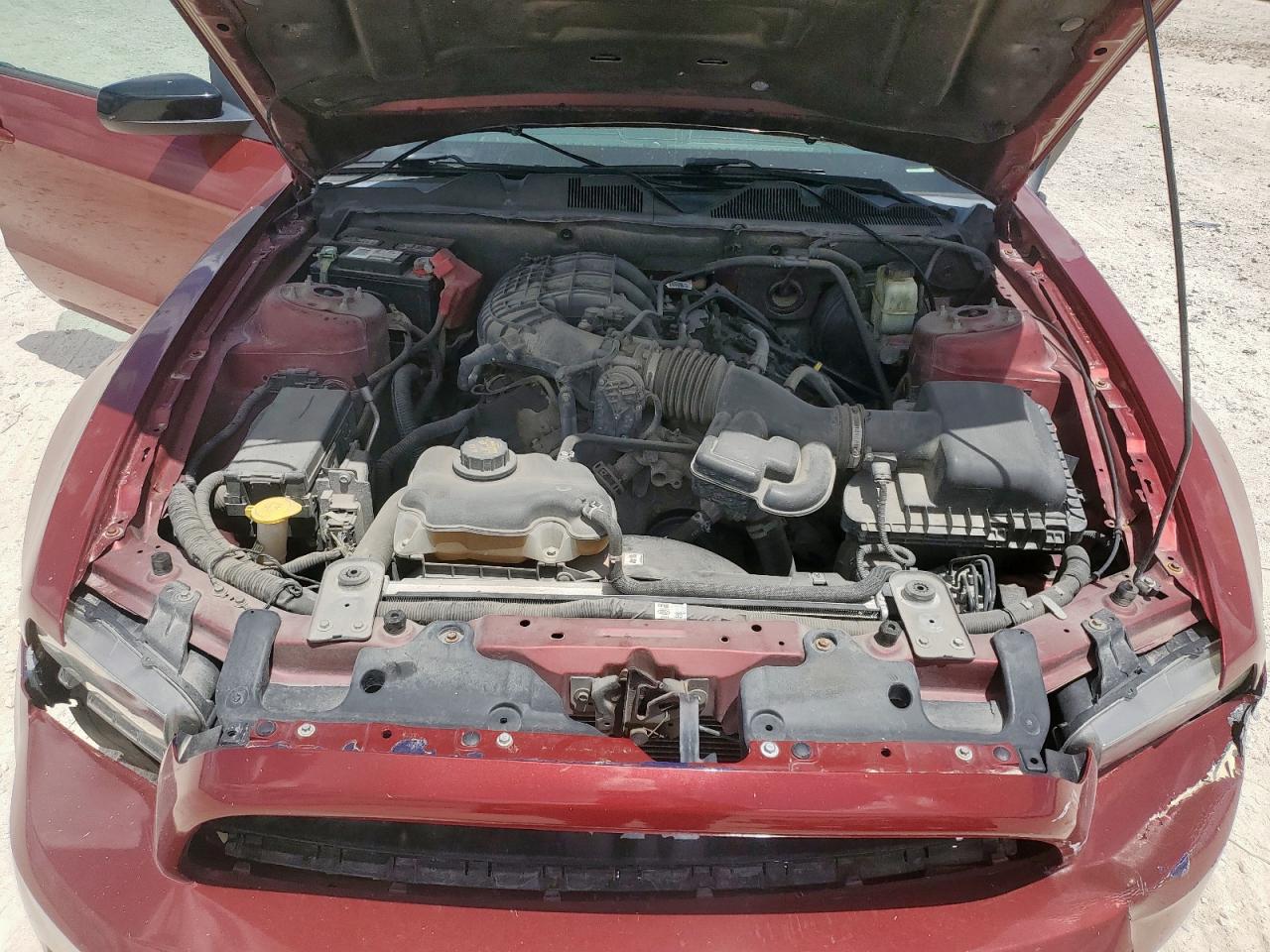 2014 Ford Mustang VIN: 1ZVBP8AMXE5299007 Lot: 66729945