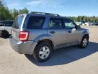 2009 FORD ESCAPE XLT   à vendre chez Copart ON - COOKSTOWN