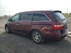 2013 HONDA ODYSSEY EXL   for sale at Copart ON - OTTAWA