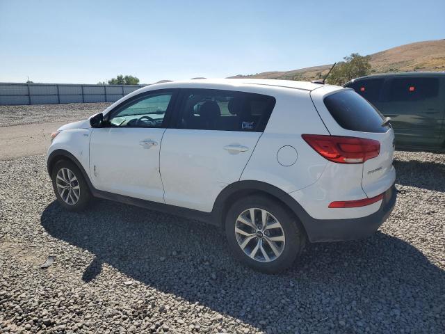 KIA SPORTAGE 2016 Белы