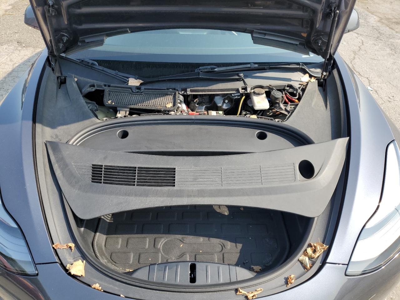 2023 Tesla Model 3 VIN: 5YJ3E1EB8PF602767 Lot: 65734585