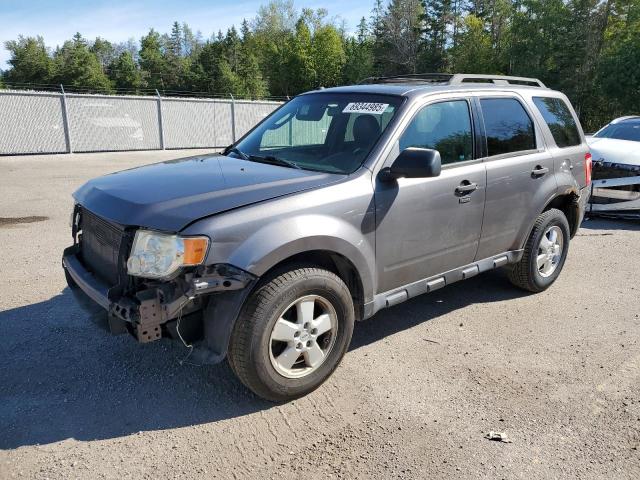 2009 FORD ESCAPE XLT   à vendre chez Copart ON - COOKSTOWN