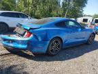 2019 FORD MUSTANG    for sale at Copart ON - COOKSTOWN