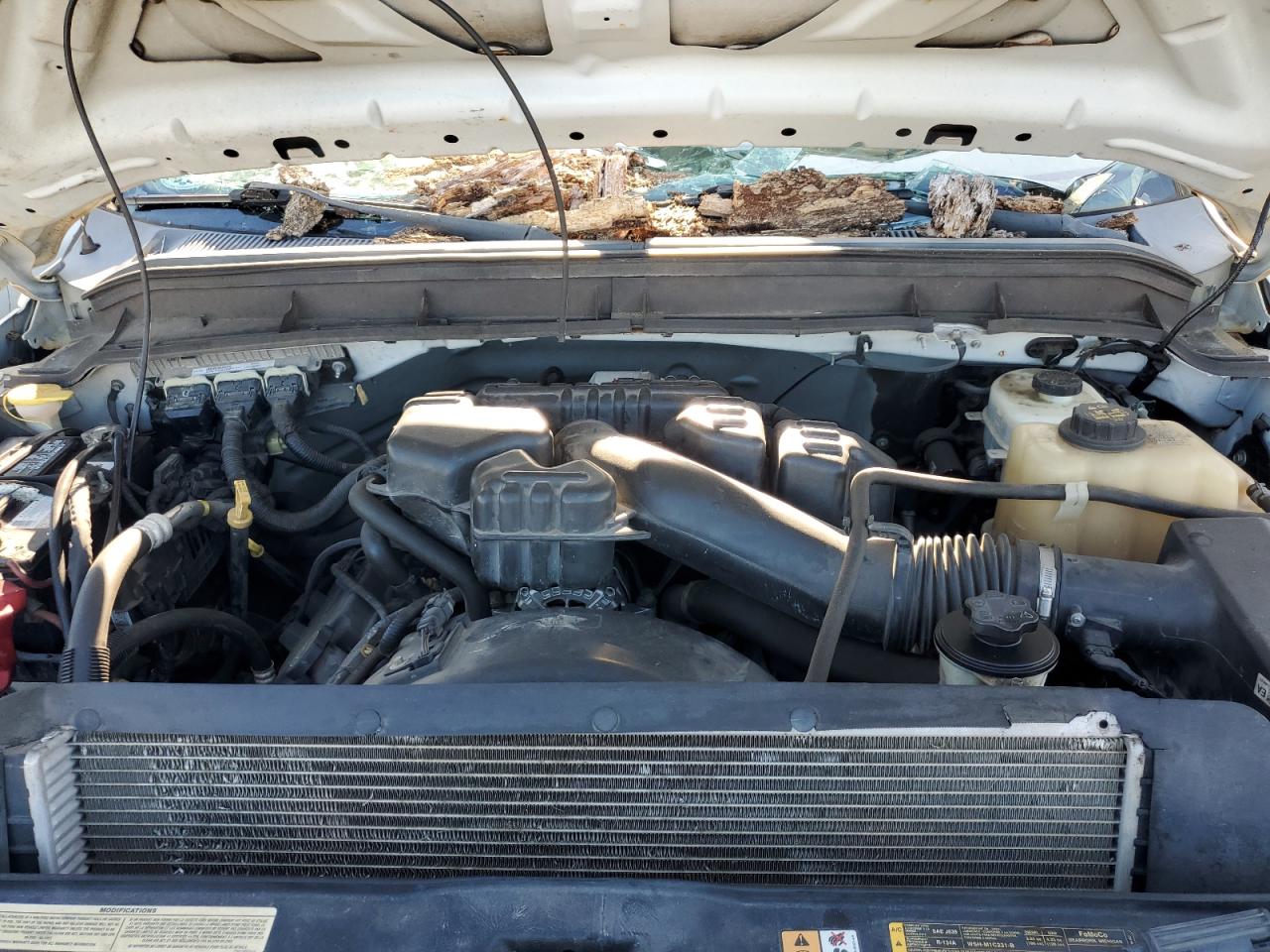 2014 Ford F350 Super Duty VIN: 1FDRF3G60EEB42842 Lot: 68199995