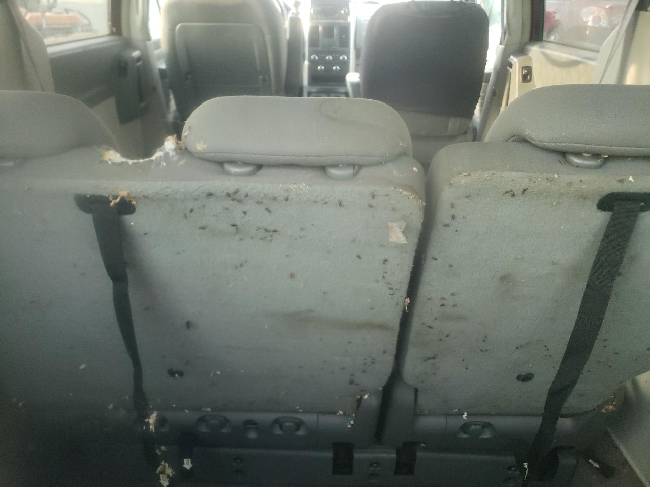 2009 Dodge Grand Caravan Sxt VIN: 2D8HN54199R584696 Lot: 69251895