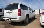 2013 CHEVROLET SUBURBAN K1500 LS   à vendre chez Copart AB - EDMONTON