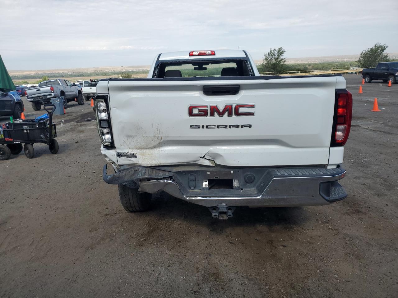 2020 GMC Sierra C1500 VIN: 3GTN8AEF0LG217422 Lot: 68905135
