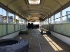 1997 FORD BUS CHASSIS B800   à vendre chez Copart AZ - PHOENIX