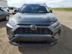 2019 TOYOTA RAV4 LE   à vendre chez Copart AB - CALGARY