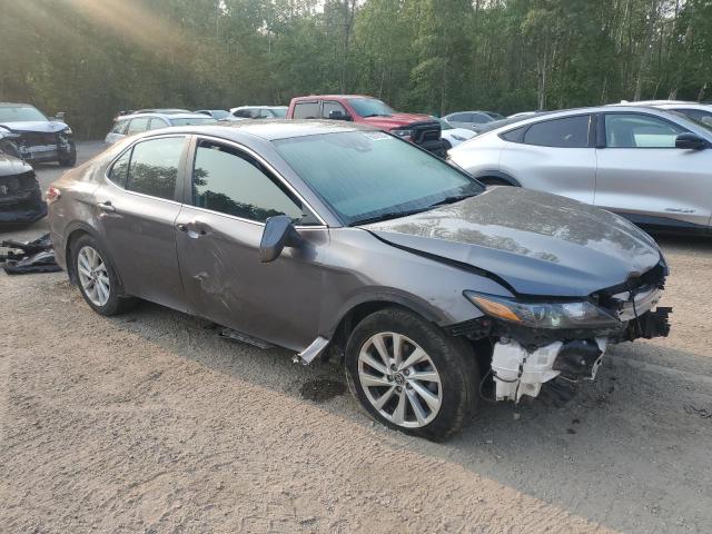  TOYOTA CAMRY 2023 Szary