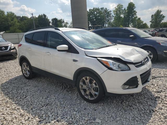  FORD ESCAPE 2016 Белы