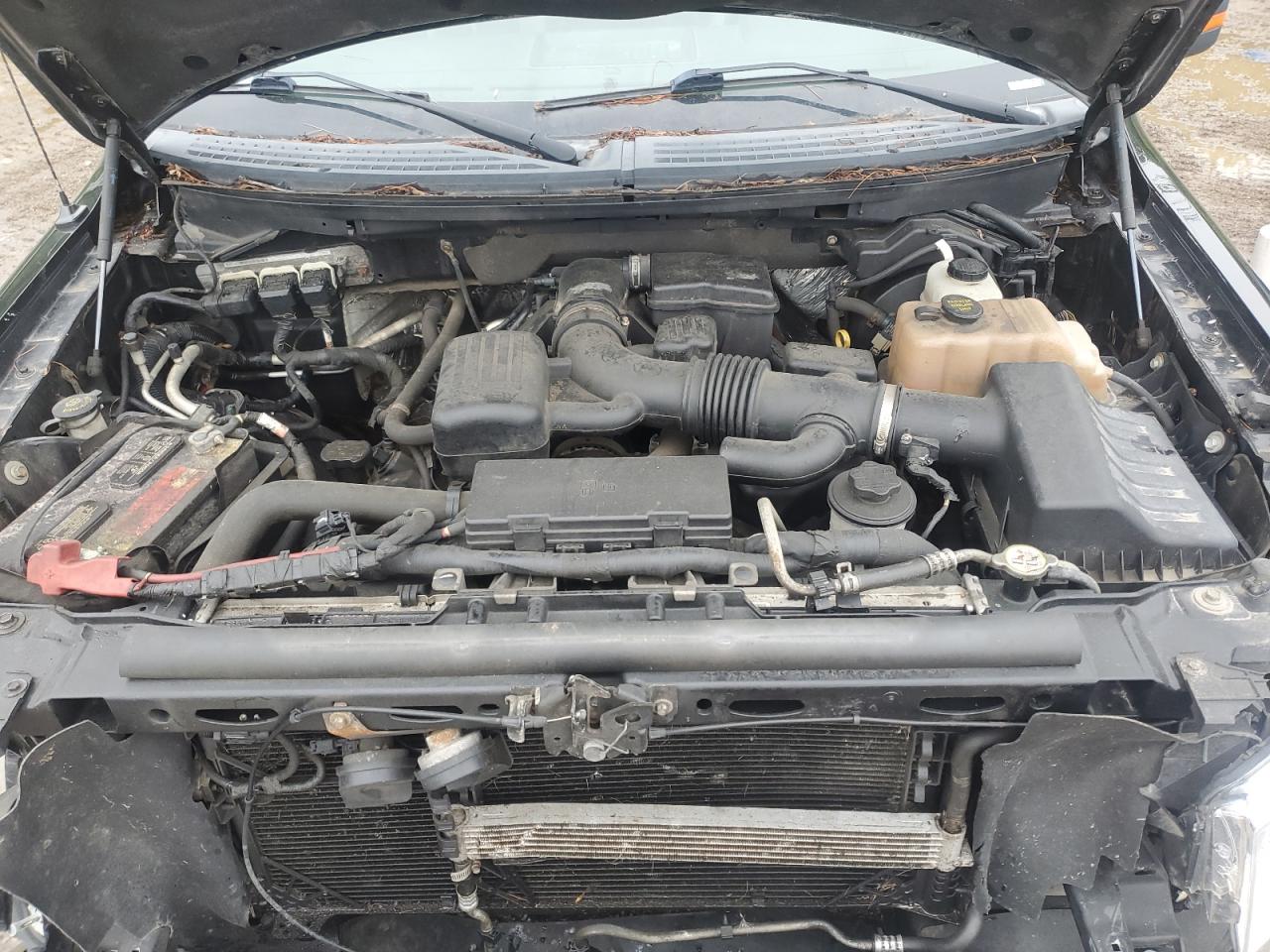2010 Ford F150 Supercrew VIN: 1FTFW1EV4AFA43838 Lot: 69343545