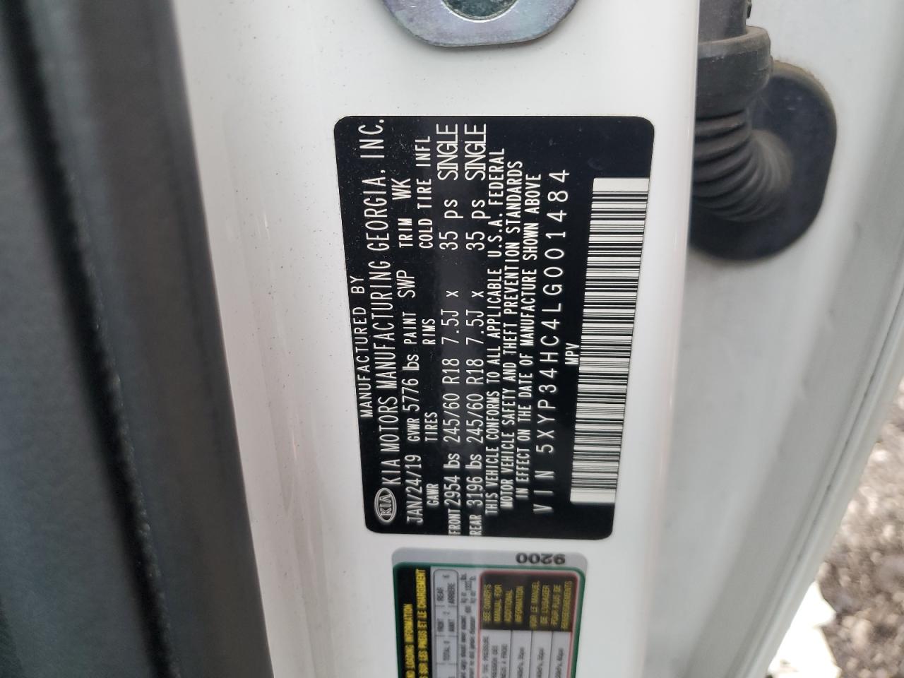 2020 Kia Telluride Ex VIN: 5XYP34HC4LG001484 Lot: 69583945