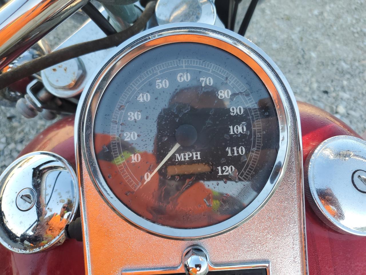 1998 Harley-Davidson Flstc VIN: 1HD1BJL48WY036479 Lot: 66210825