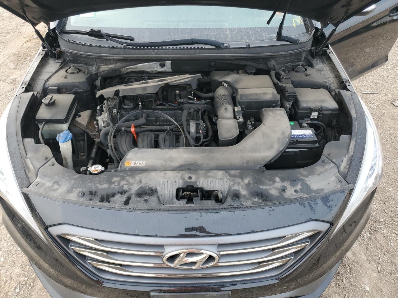 2015 Hyundai Sonata Sport VIN: 5NPE34AF8FH061969 Lot: 67252715