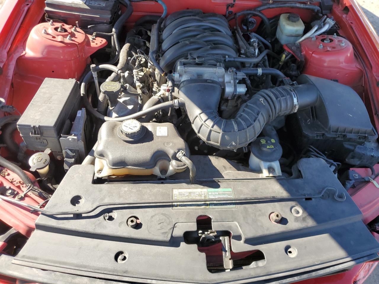 2006 Ford Mustang Gt VIN: 1ZVFT82H765223907 Lot: 70638445