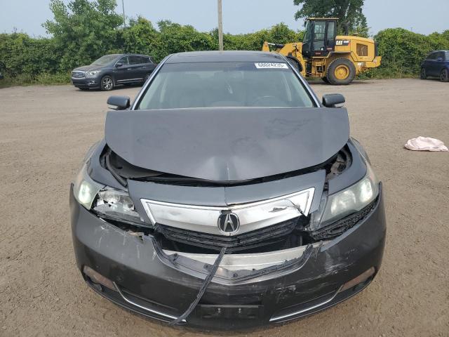 2013 ACURA TL   