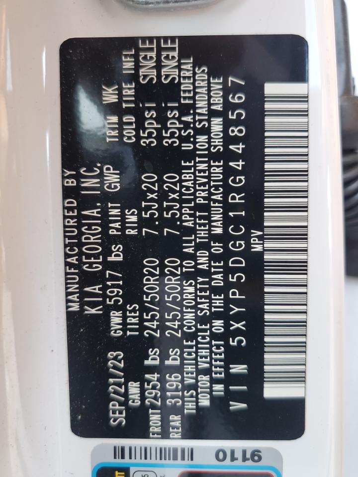 2024 Kia Telluride Sx VIN: 5XYP5DGC1RG448567 Lot: 64713225