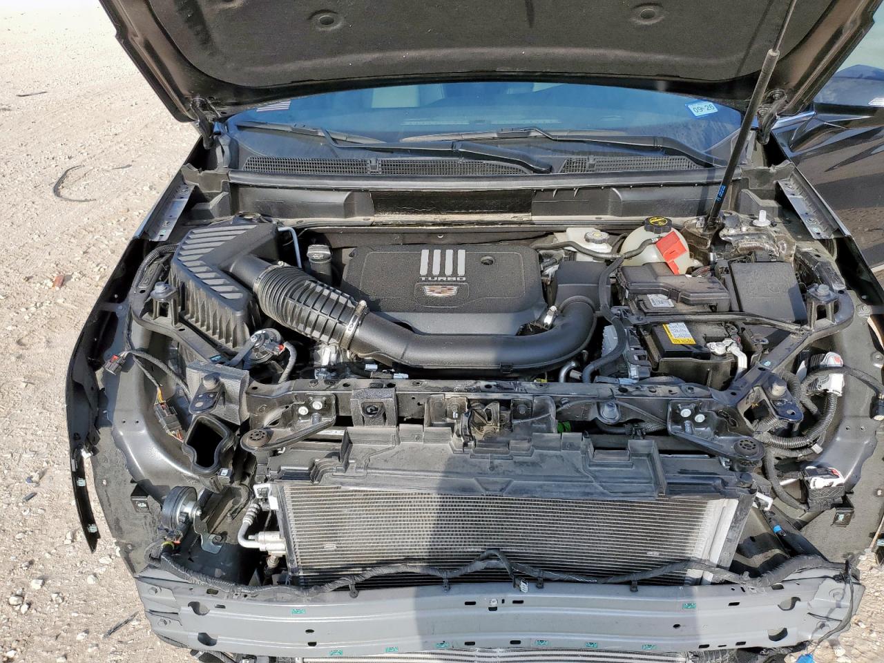 2024 Cadillac Xt5 Luxury VIN: 1GYKNAR44RZ746007 Lot: 70692165