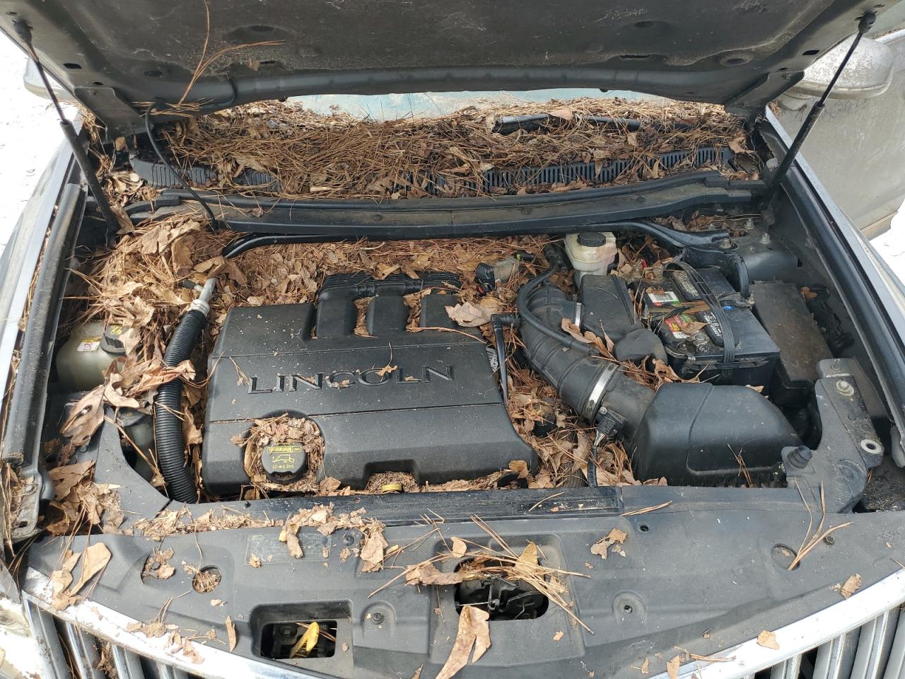 2010 Lincoln Mkt VIN: 2LMHJ5AR3ABJ11555 Lot: 69755445