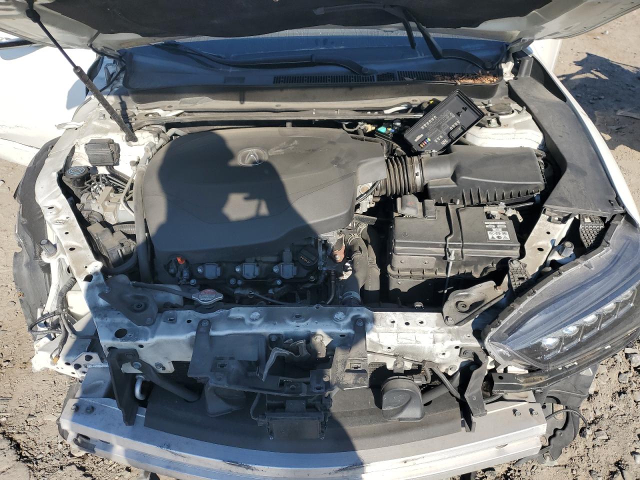 2019 Acura Tlx Technology VIN: 19UUB3F67KA006093 Lot: 70076265