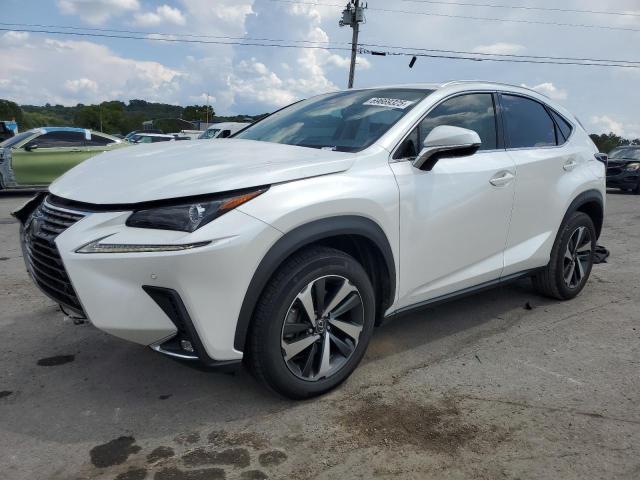  LEXUS NX 2020 Biały