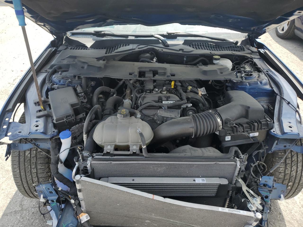 2022 Ford Mustang VIN: 1FA6P8TH4N5128053 Lot: 69587955