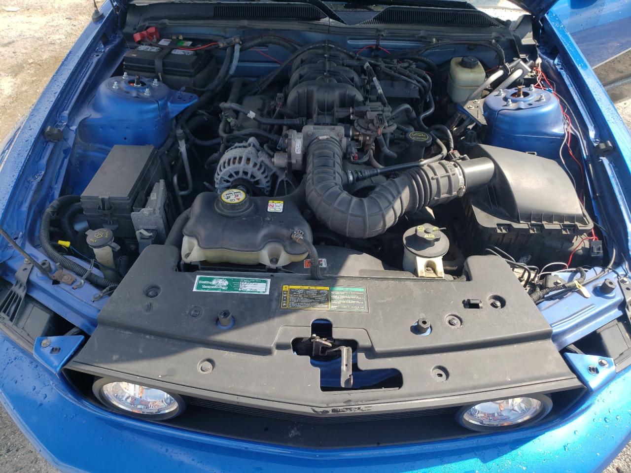 2006 Ford Mustang VIN: 1ZVFT84N765224736 Lot: 70350305