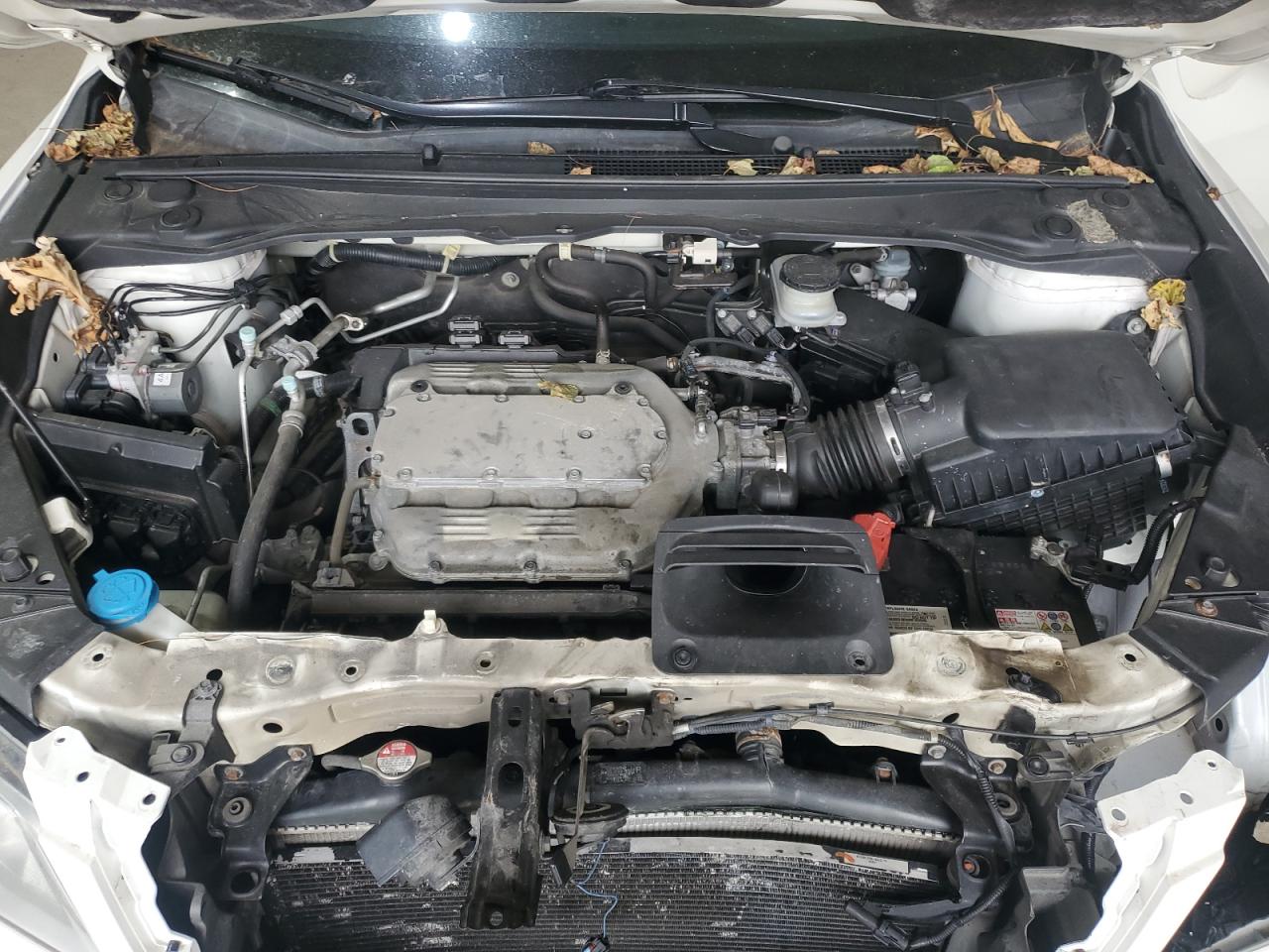 2013 Acura Rdx VIN: 5J8TB4H38DL001173 Lot: 67168965