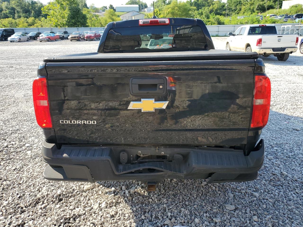 2015 Chevrolet Colorado Z71 VIN: 1GCGSCE3XF1218494 Lot: 65774765